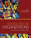 Studyguide for Sociology of Organizations by Godwyn, Mary E, ISBN 9781412991964 - Agenda Bookshop