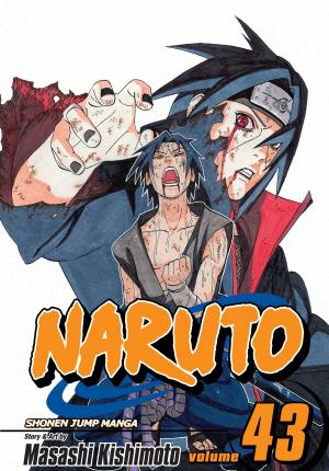 Naruto, Vol. 43 - Agenda Bookshop