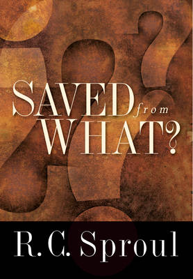 Saved from What? - Agenda Bookshop