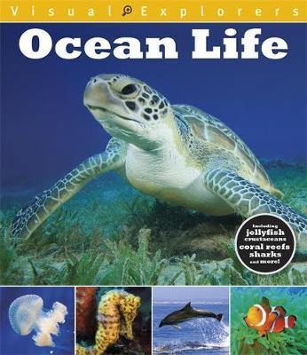 Visual Explorers: Ocean Life - Agenda Bookshop