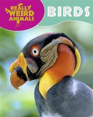 Really Weird Animals: Birds - Agenda Bookshop