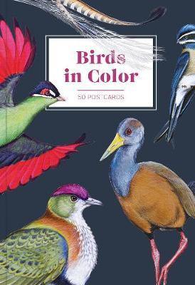 Birds in Color 50 Postcards - Agenda Bookshop