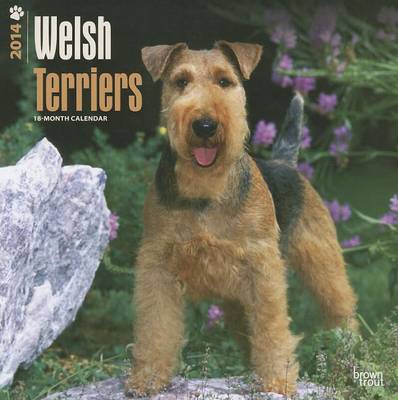 Welsh Terriers 2014 Wall Calendar - Agenda Bookshop
