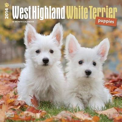 West Highland White Terrier Puppies 2014 Wall Calendar - Agenda Bookshop