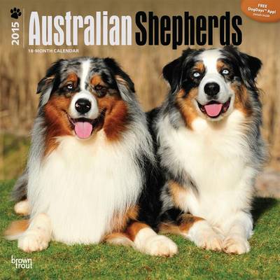 Australian Shepherds 2015 Wall - Agenda Bookshop