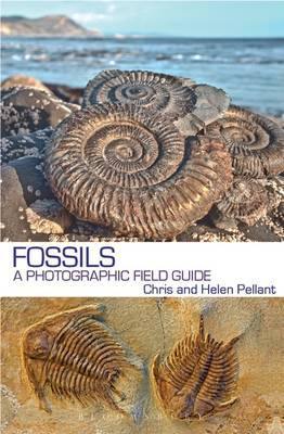 Fossils: A Photographic Field Guide - Agenda Bookshop
