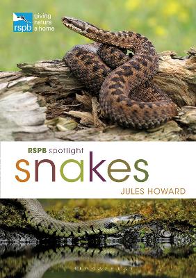 RSPB Spotlight Snakes - Agenda Bookshop