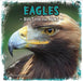 Eagles: Built for the Hunt - Agenda Bookshop