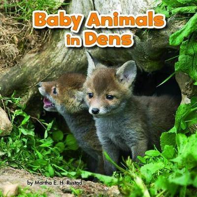 Baby Animals in Dens - Agenda Bookshop