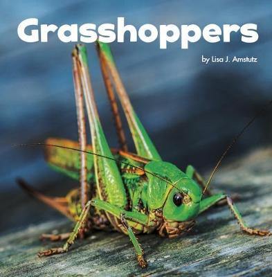 Grasshoppers - Agenda Bookshop
