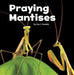 Praying Mantises - Agenda Bookshop