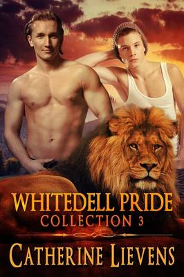 Whitedell Pride Collection 3 - Agenda Bookshop