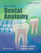 Woelfels Dental Anatomy - Agenda Bookshop