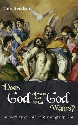 Does God Always Get What God Wants? - Agenda Bookshop