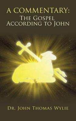 A Commentary: The Gospel According to John - Agenda Bookshop