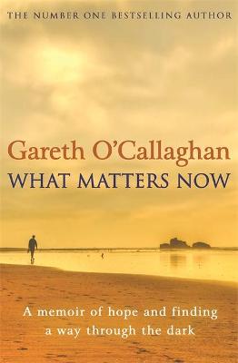 What Matters Now: A Memoir of Hope and Finding a Way Through the Dark - Agenda Bookshop