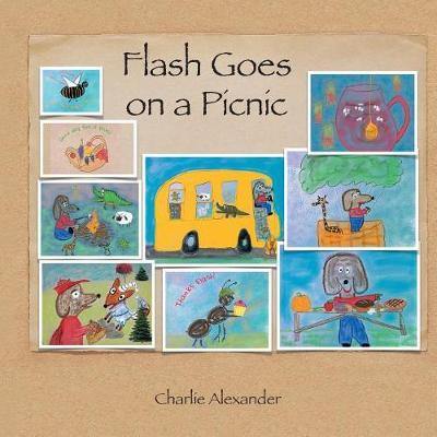 Flash Goes on a Picnic - Agenda Bookshop