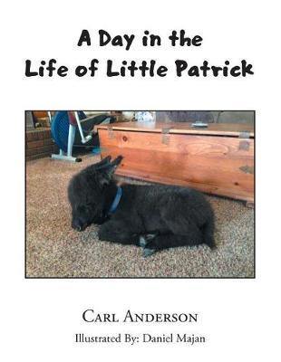 A Day in the Life of Little Patrick - Agenda Bookshop