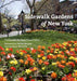 Sidewalk Gardens Of New York - Agenda Bookshop