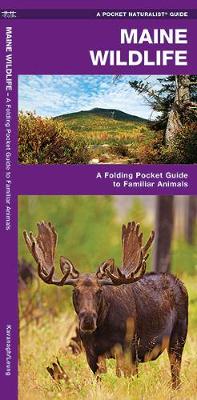 Maine Wildlife: A Folding Pocket Guide to Familiar Species - Agenda Bookshop