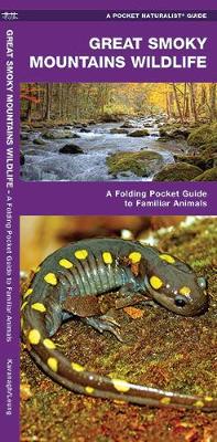 Great Smoky Mountains Wildlife: A Folding Pocket Guide to Familiar Species - Agenda Bookshop