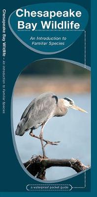 Chesapeake Bay Wildlife: A Folding Pocket Guide to Familiar Species - Agenda Bookshop