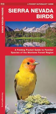 Sierra Nevada Birds: A Folding Pocket Guide to Familiar Species of the Montane Forest Region - Agenda Bookshop