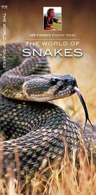 The World of Snakes - Agenda Bookshop