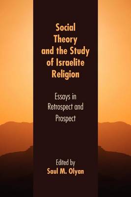 Social Theory and the Study of Israelite Religion: Essays in Retrospect and Prospect - Agenda Bookshop