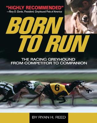 The Born to Run: Racing Greyhound, from Competitor to Companion - Agenda Bookshop