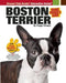 Boston Terrier - Agenda Bookshop