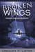 Broken Wings: Aviation Disasters in Alaska - Agenda Bookshop