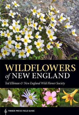 Wildflowers of New England - Agenda Bookshop