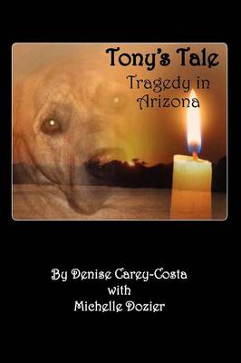 Tony''s Tale. Tragedy in Arizona - Agenda Bookshop