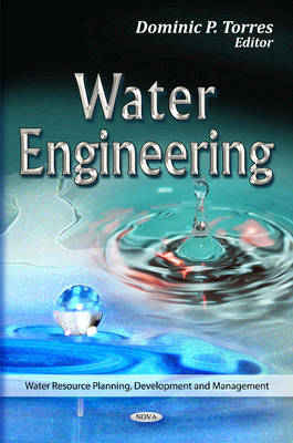 Water Engineering - Agenda Bookshop