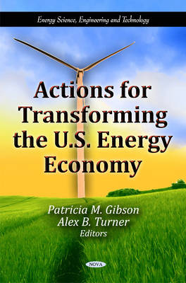 Actions for Transforming the U.S. Energy Economy - Agenda Bookshop