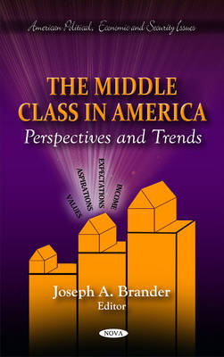 Middle Class in America: Perspectives & Trends - Agenda Bookshop