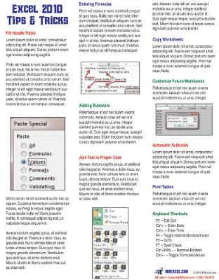 Excel 2010 Laminated Tip Card: Tips and Tricks from MrExcel - Agenda Bookshop