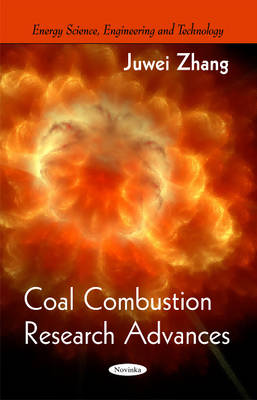 Coal Combustion Research Advances - Agenda Bookshop