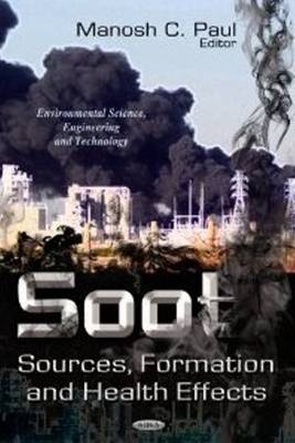 Soot: Sources, Formation & Health Effects - Agenda Bookshop