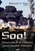 Soot: Sources, Formation & Health Effects - Agenda Bookshop