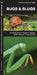 Bugs & Slugs: A Folding Pocket Guide to Familiar North American Invertebrates - Agenda Bookshop