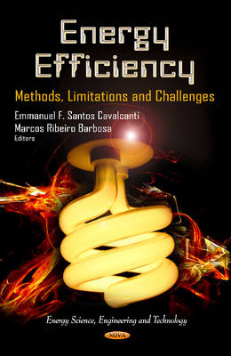 Energy Efficiency: Methods, Limitations & Challenges - Agenda Bookshop