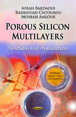 Porous Silicon Multilayers: Synthesis & Applications - Agenda Bookshop