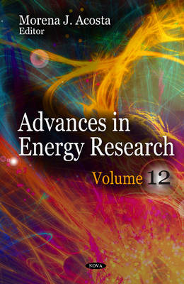 Advances in Energy Research: Volume 12 - Agenda Bookshop