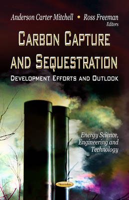 Carbon Capture & Sequestration: Development Efforts & Outlook - Agenda Bookshop