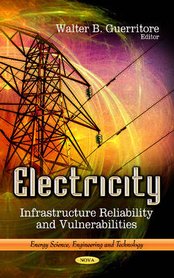 Electricity: Infrastructure Reliability & Vulnerabilities - Agenda Bookshop