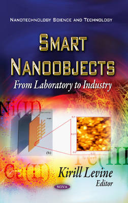 Smart Nano-Objects: From Laboratory to Industry - Agenda Bookshop