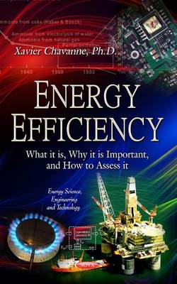 Energy Efficiency: What it is, Why it is Important, and How to Assess it - Agenda Bookshop