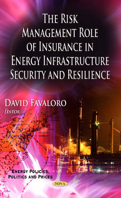 Risk Management Role of Insurance in Energy Infrastructure Security & Resilience - Agenda Bookshop